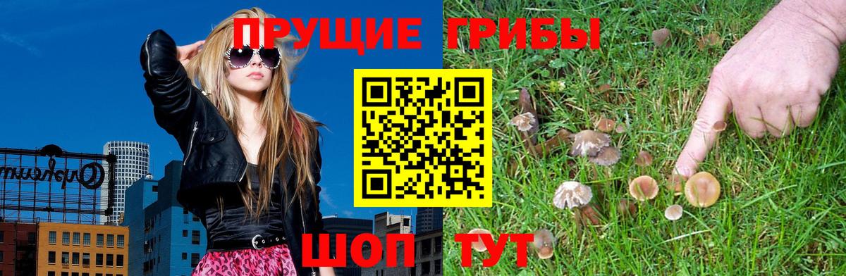 Псилоцибиновые грибы Cubensis  Галлюциногенные грибы Psilocybe  Вход с VPN  Псков 